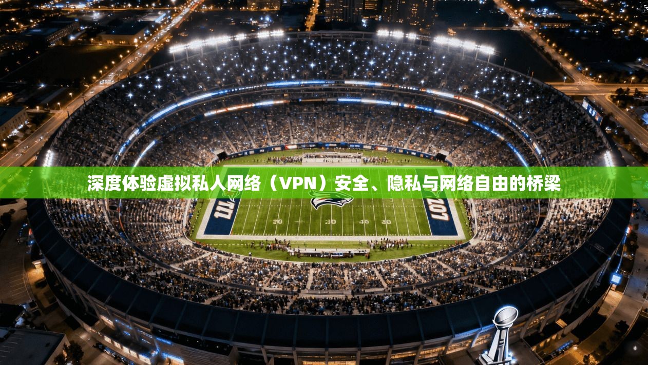 深度体验虚拟私人网络（VPN）安全、隐私与网络自由的桥梁