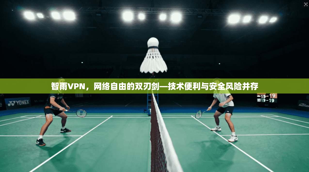 智雨VPN，网络自由的双刃剑—技术便利与安全风险并存