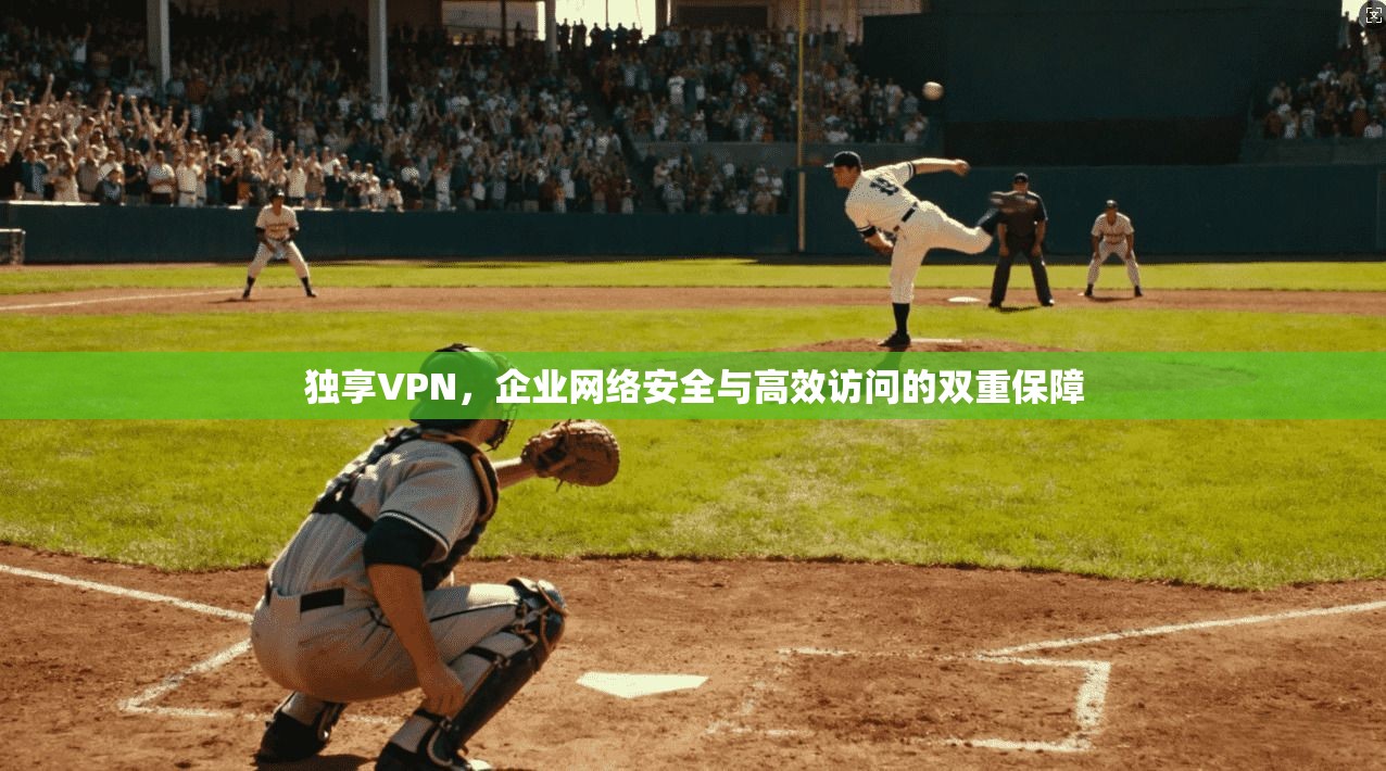 独享VPN，企业网络安全与高效访问的双重保障
