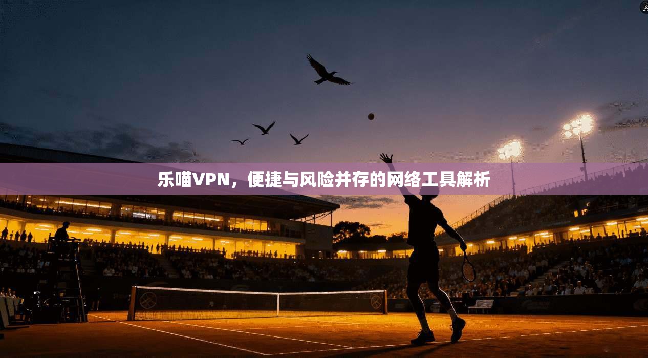 乐喵VPN，便捷与风险并存的网络工具解析