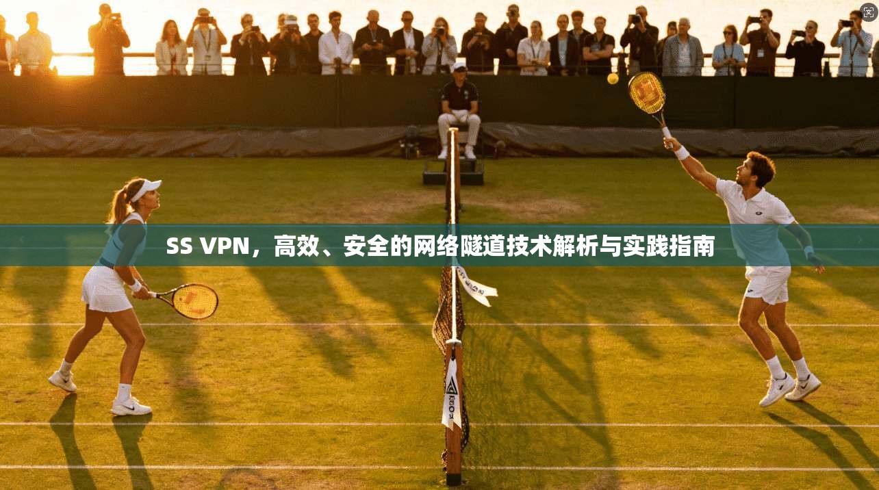 SS VPN，高效、安全的网络隧道技术解析与实践指南