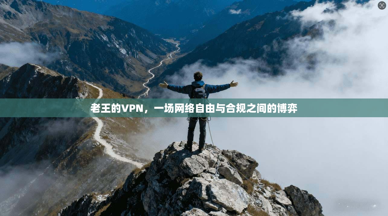 老王的VPN，一场网络自由与合规之间的博弈