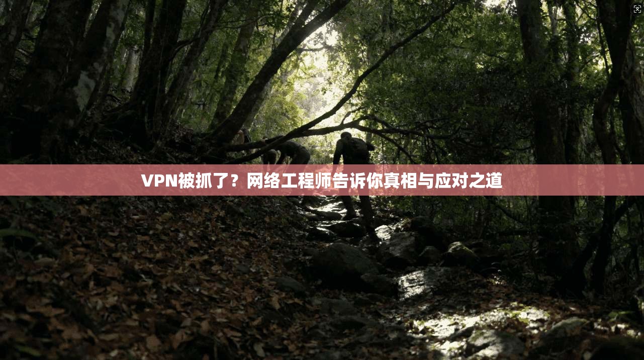 VPN被抓了？网络工程师告诉你真相与应对之道