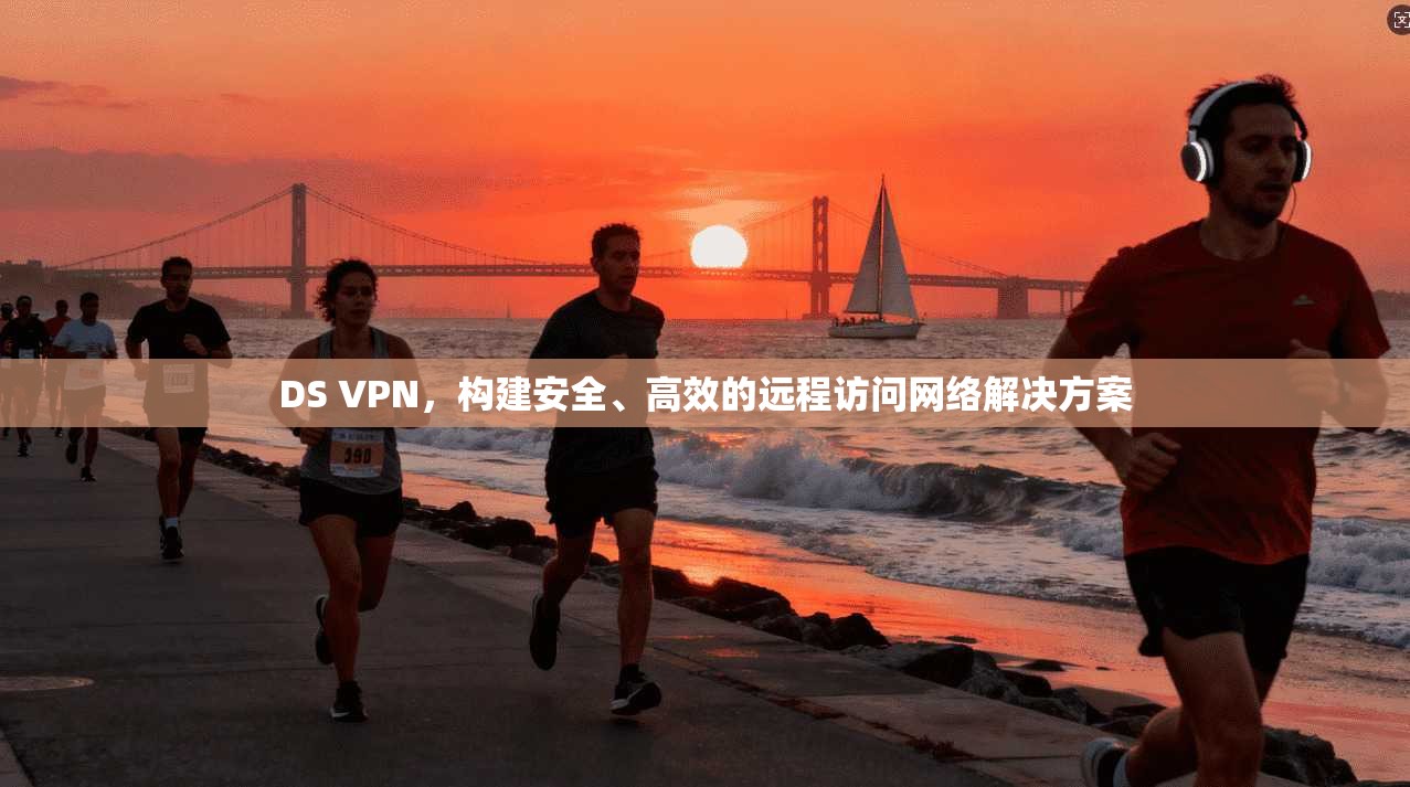 DS VPN，构建安全、高效的远程访问网络解决方案