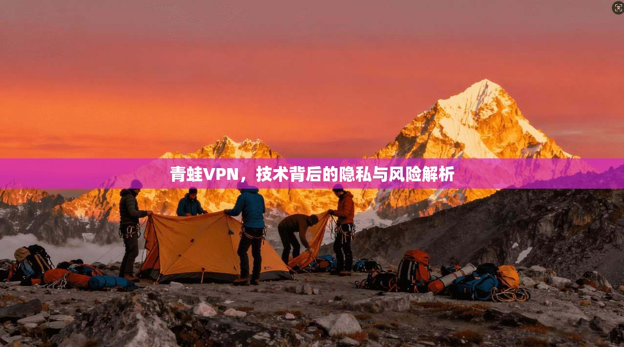 青蛙VPN，技术背后的隐私与风险解析