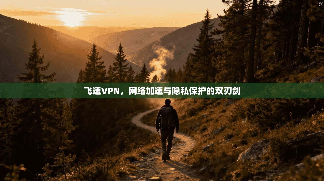 飞速VPN，网络加速与隐私保护的双刃剑