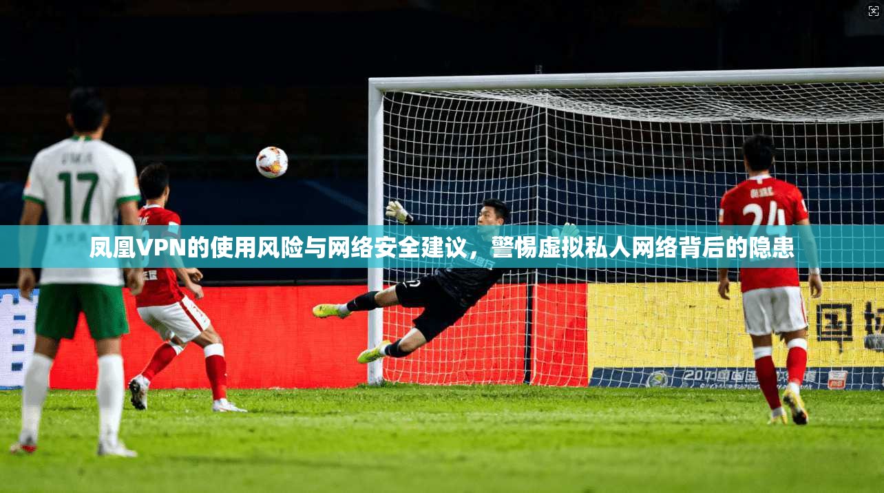 凤凰VPN的使用风险与网络安全建议，警惕虚拟私人网络背后的隐患