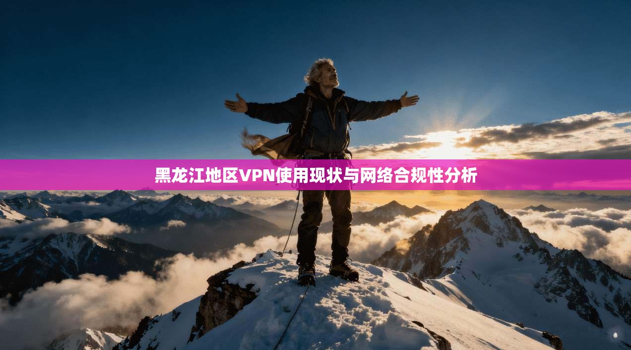 黑龙江地区VPN使用现状与网络合规性分析