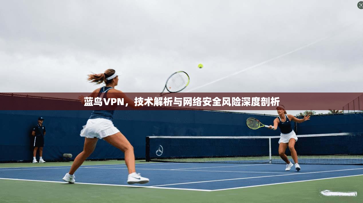 蓝鸟VPN，技术解析与网络安全风险深度剖析