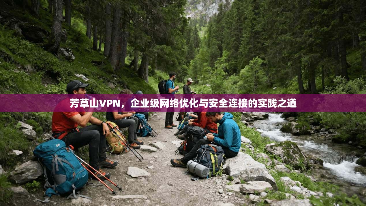 芳草山VPN，企业级网络优化与安全连接的实践之道