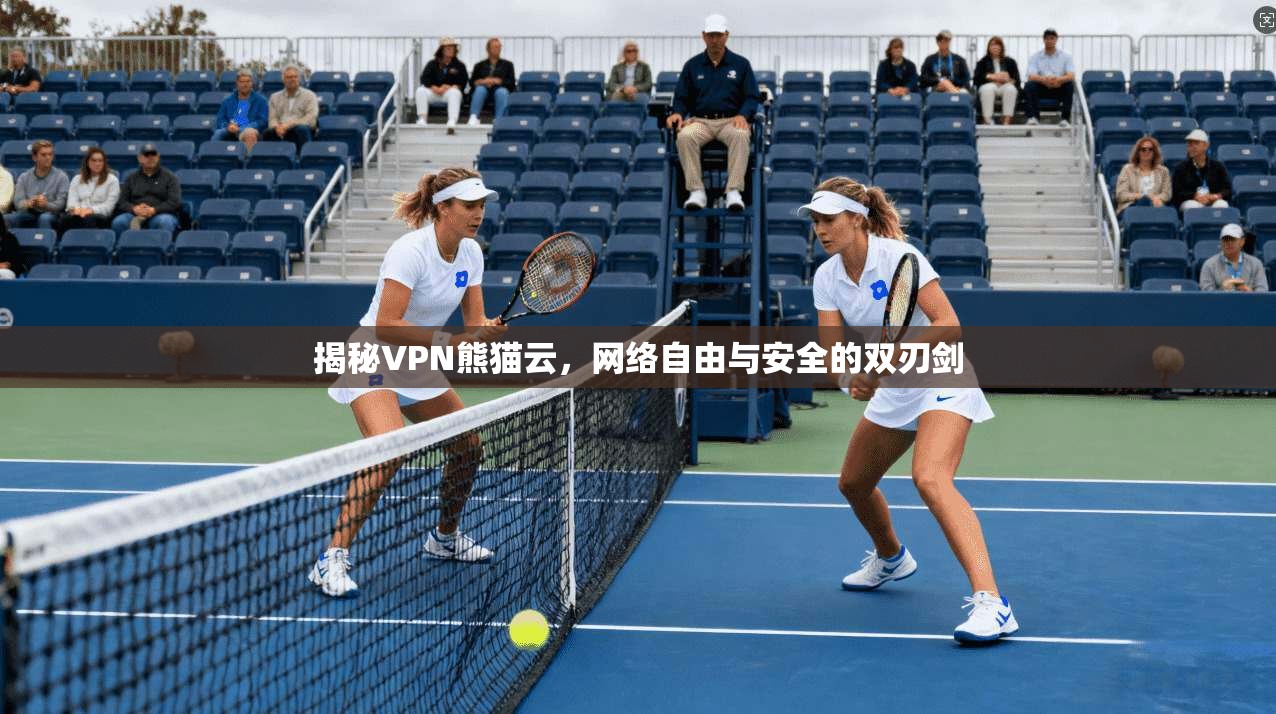 揭秘VPN熊猫云，网络自由与安全的双刃剑