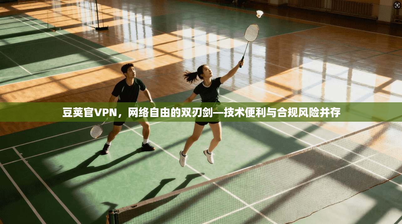豆荚官VPN，网络自由的双刃剑—技术便利与合规风险并存