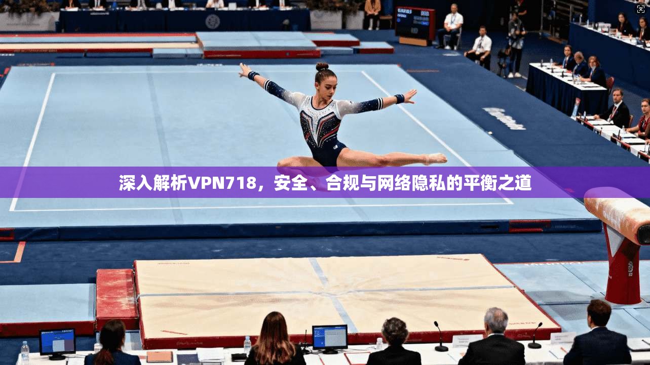 深入解析VPN718，安全、合规与网络隐私的平衡之道