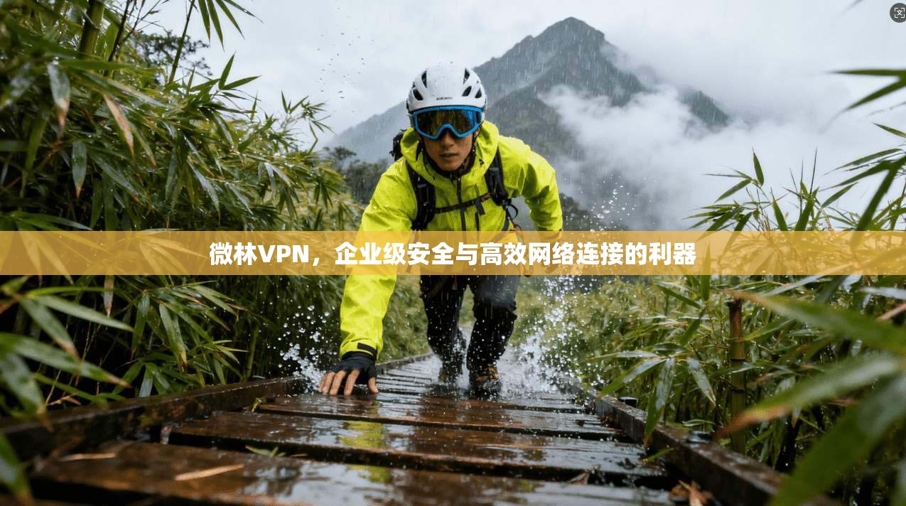 微林VPN，企业级安全与高效网络连接的利器
