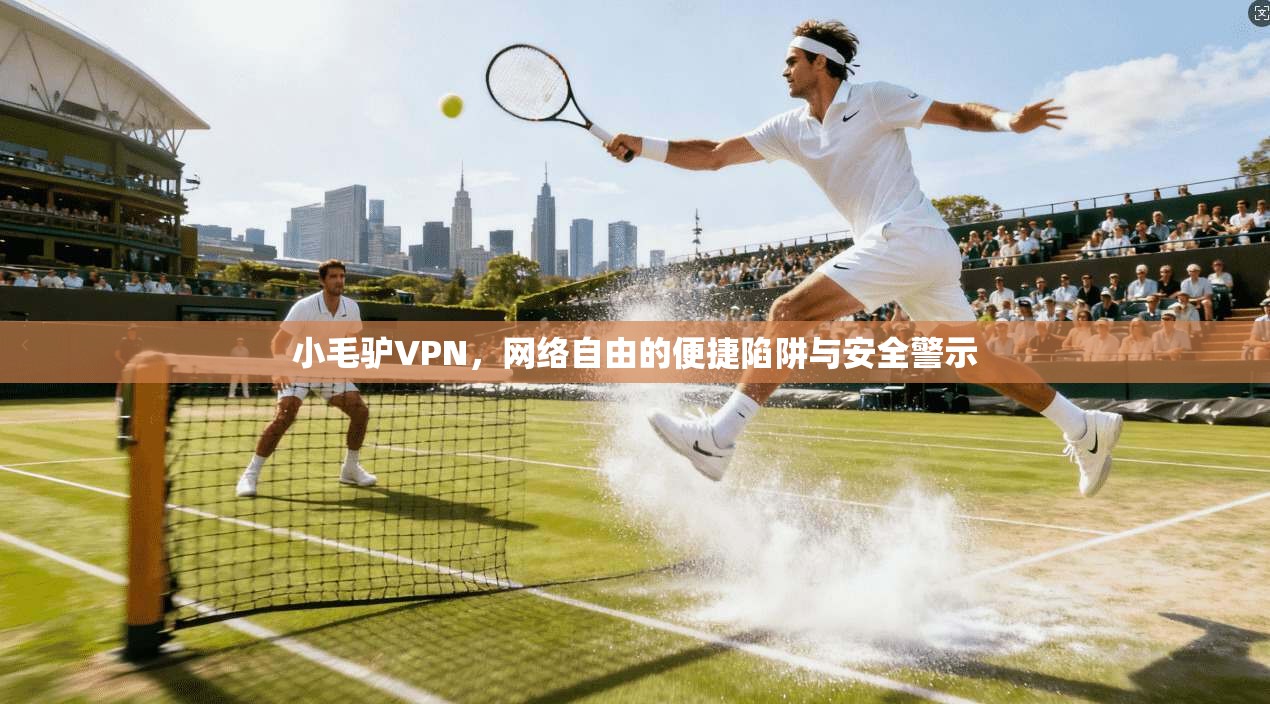 小毛驴VPN，网络自由的便捷陷阱与安全警示