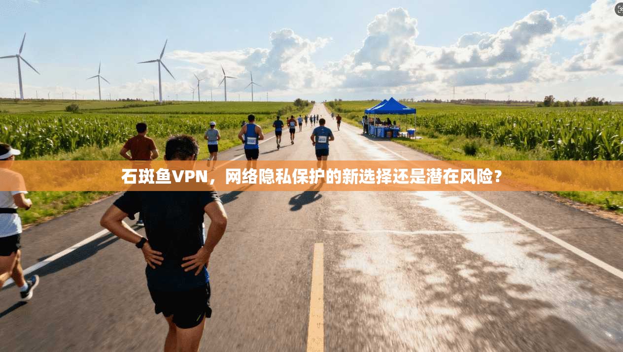 石斑鱼VPN，网络隐私保护的新选择还是潜在风险？