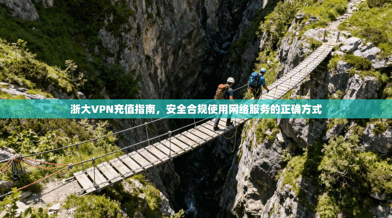浙大VPN充值指南,安全合规使用网络服务的正确方式