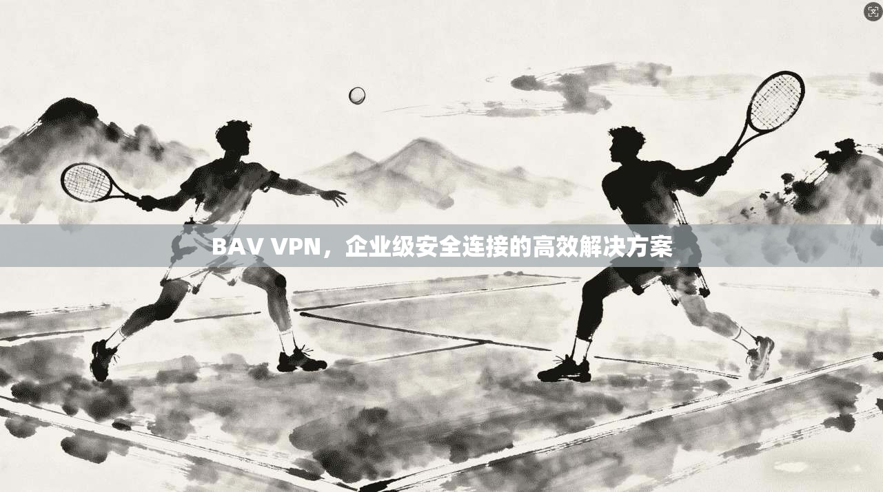 BAV VPN,企业级安全连接的高效解决方案