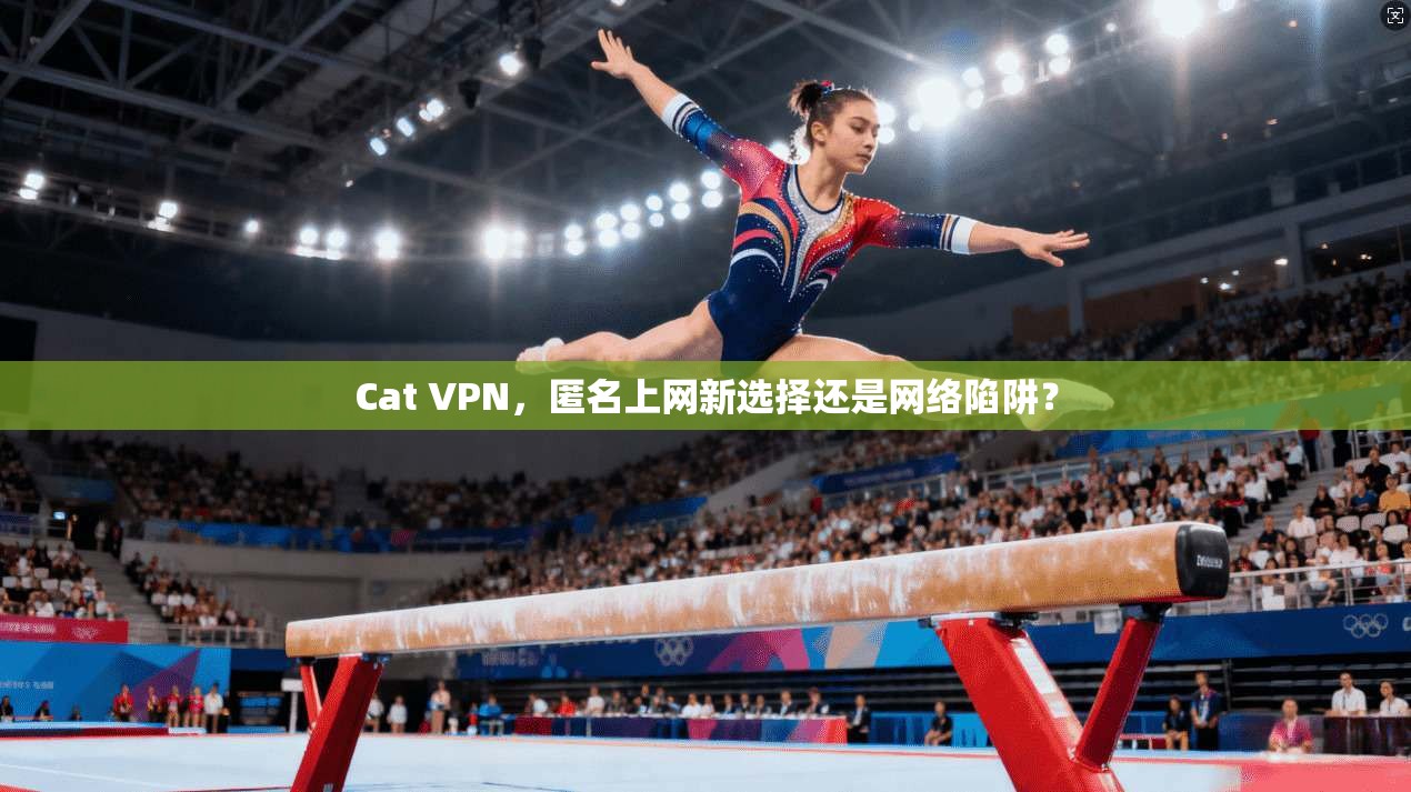 Cat VPN,匿名上网新选择还是网络陷阱?