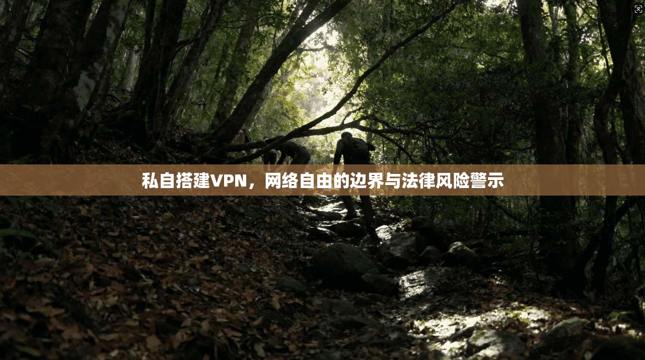 私自搭建VPN,网络自由的边界与法律风险警示