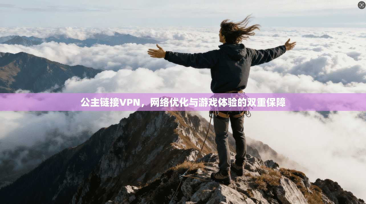 公主链接VPN,网络优化与游戏体验的双重保障