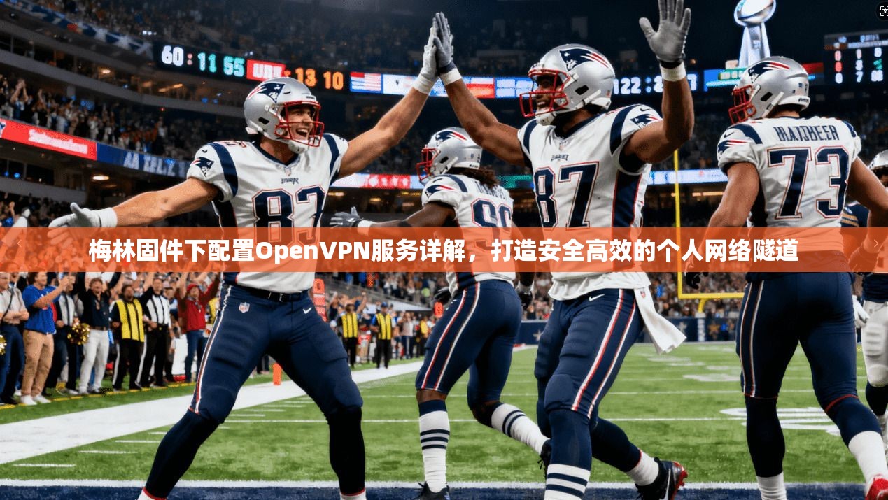 梅林固件下配置OpenVPN服务详解，打造安全高效的个人网络隧道