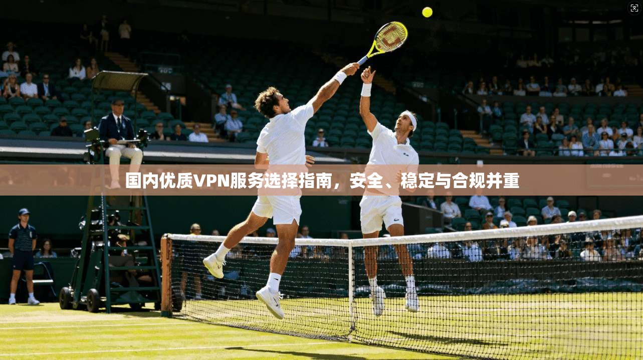 国内优质VPN服务选择指南，安全、稳定与合规并重