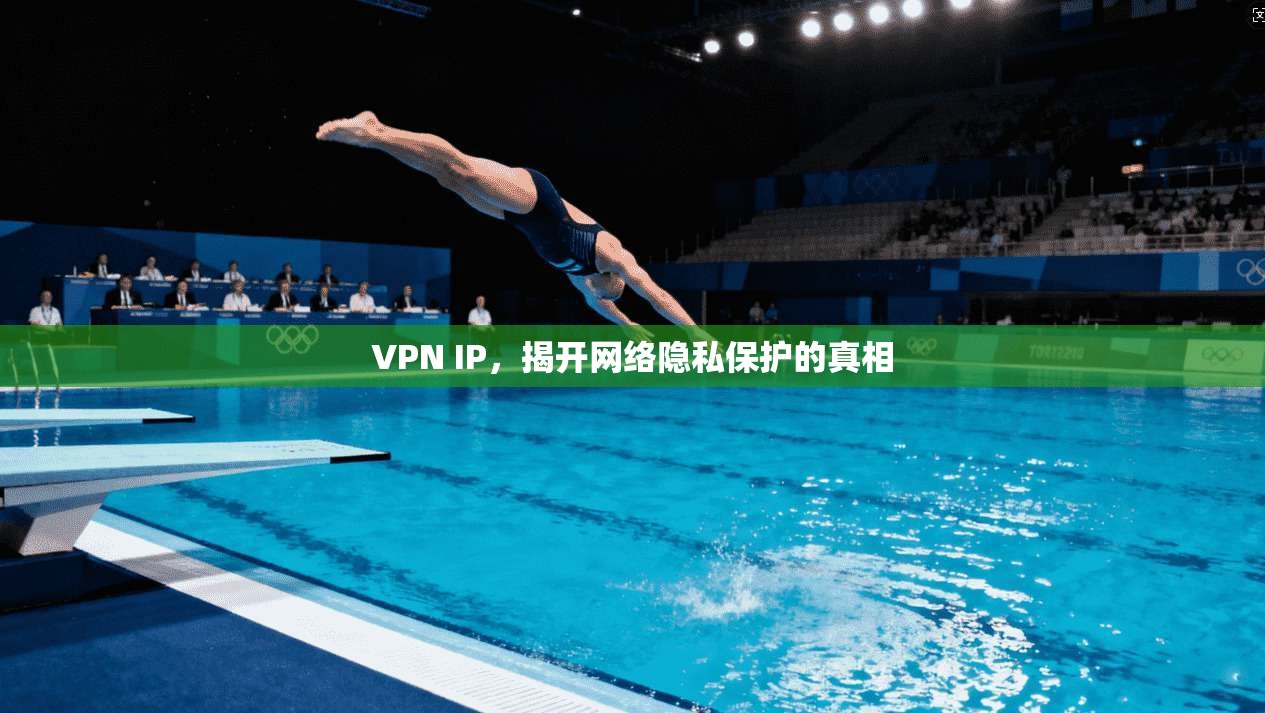 VPN IP，揭开网络隐私保护的真相