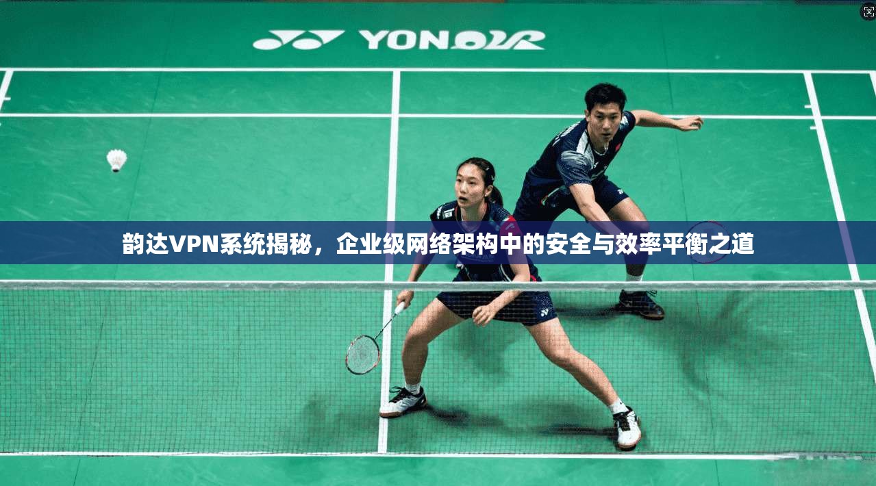 韵达VPN系统揭秘，企业级网络架构中的安全与效率平衡之道