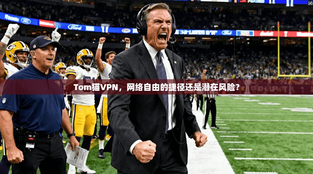 Tom猫VPN，网络自由的捷径还是潜在风险？