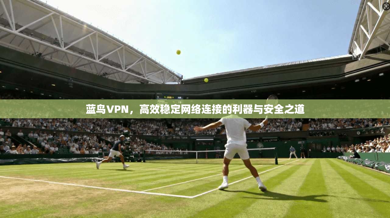 蓝鸟VPN,高效稳定网络连接的利器与安全之道