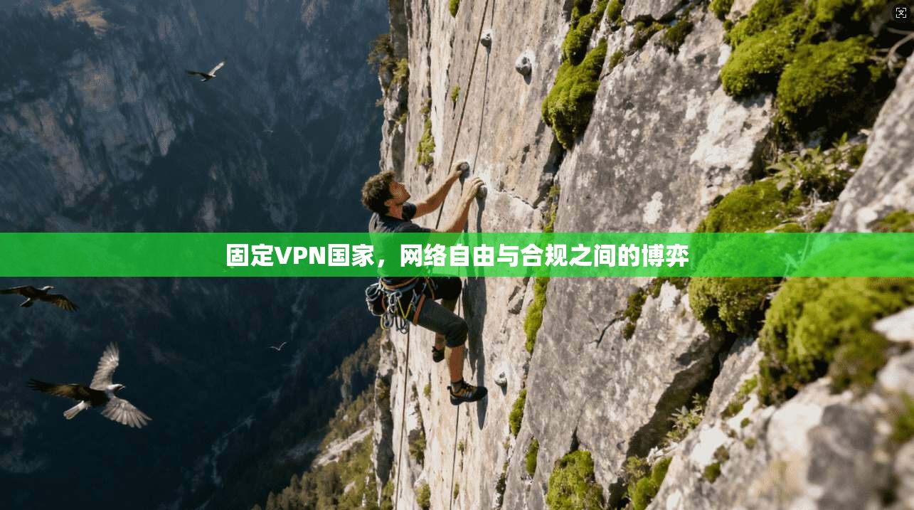 固定VPN国家,网络自由与合规之间的博弈