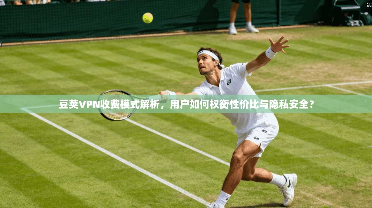 豆荚VPN收费模式解析，用户如何权衡性价比与隐私安全？