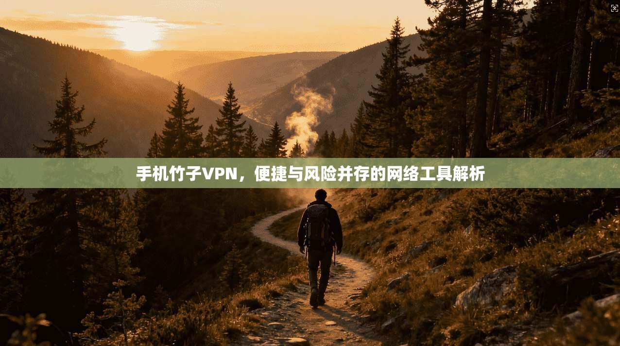 手机竹子VPN，便捷与风险并存的网络工具解析