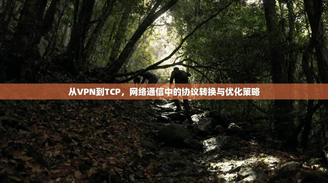 从VPN到TCP，网络通信中的协议转换与优化策略