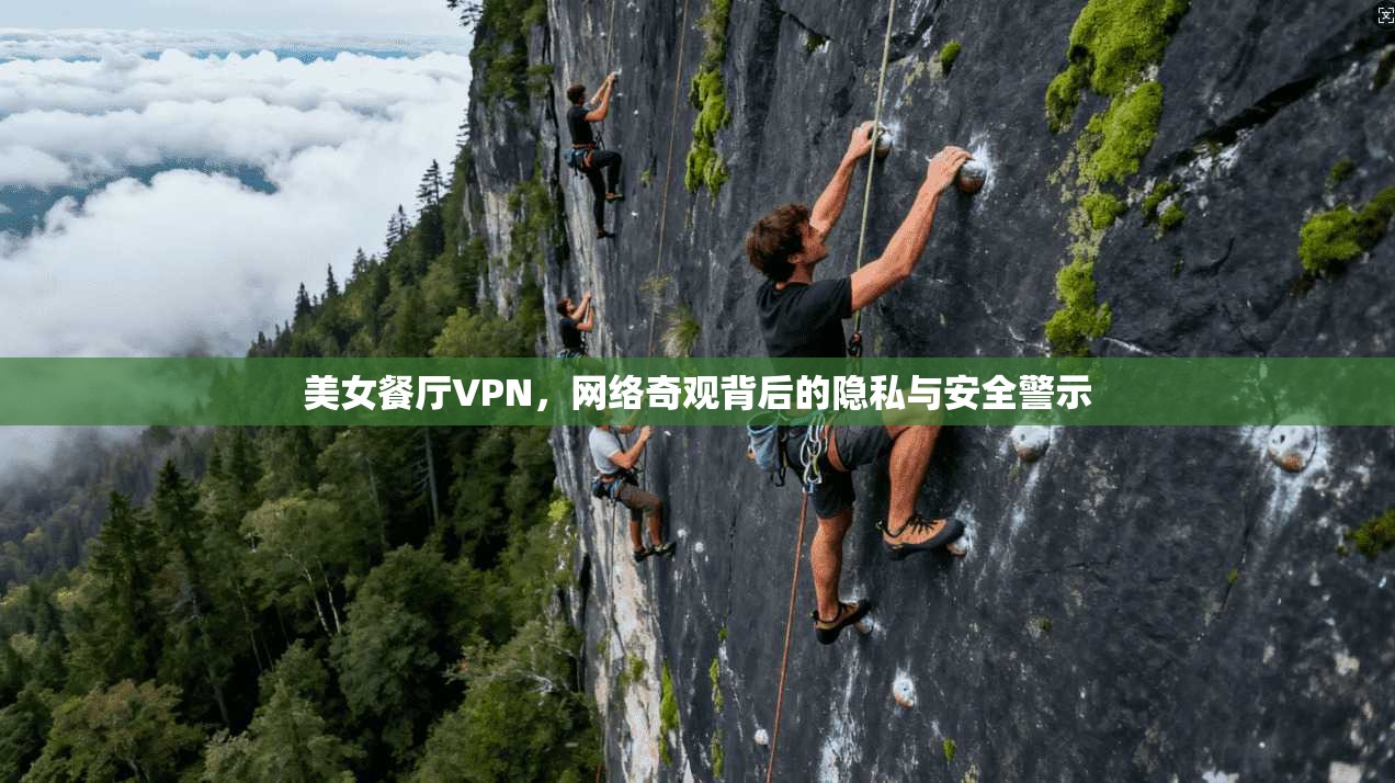 美女餐厅VPN，网络奇观背后的隐私与安全警示