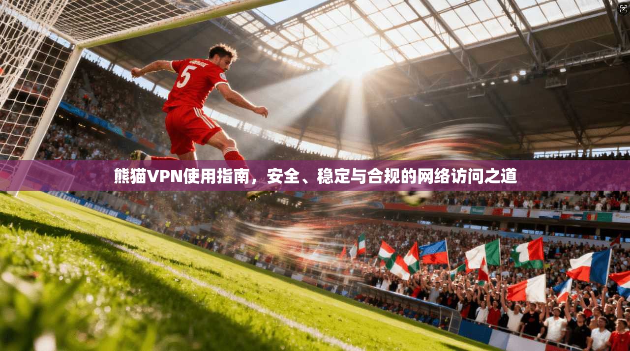 熊猫VPN使用指南，安全、稳定与合规的网络访问之道