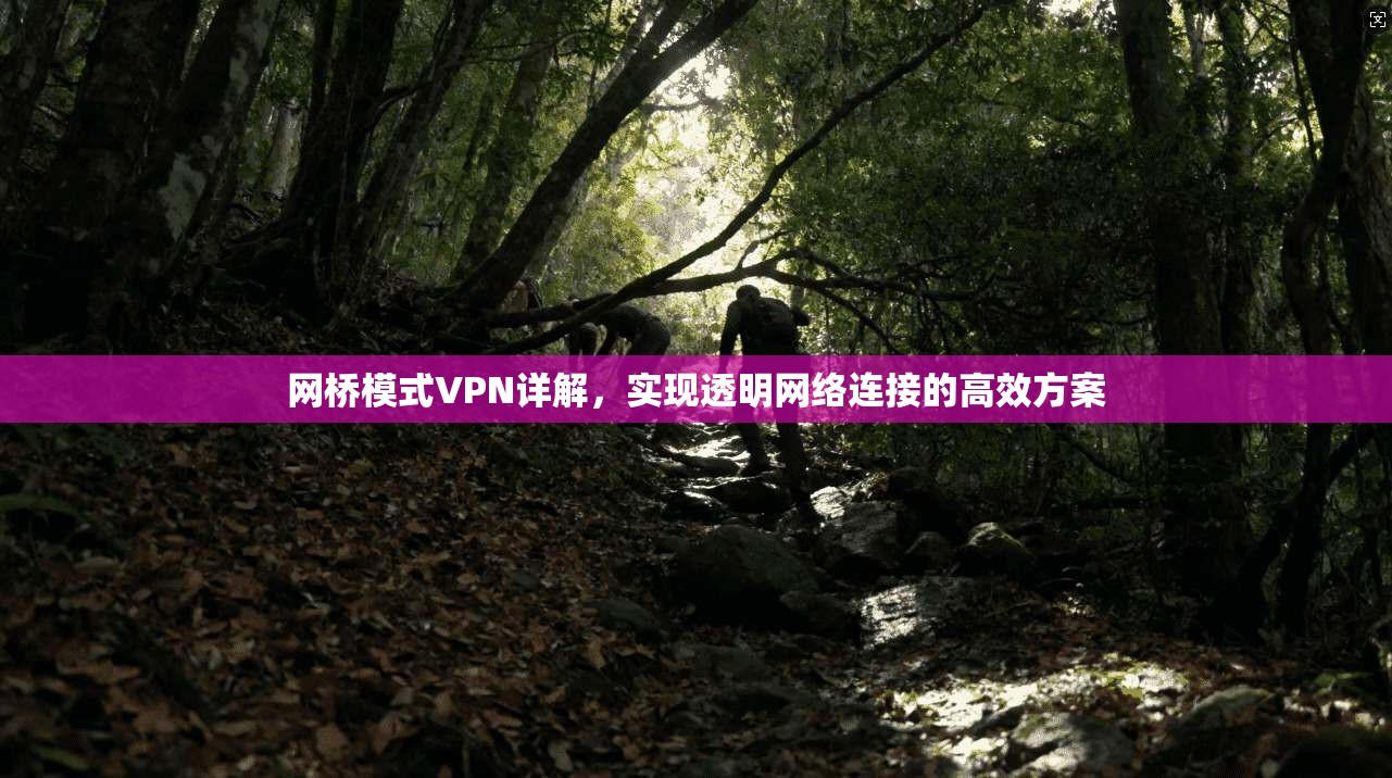 网桥模式VPN详解，实现透明网络连接的高效方案