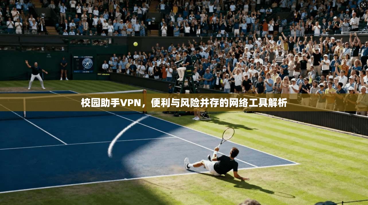 校园助手VPN，便利与风险并存的网络工具解析