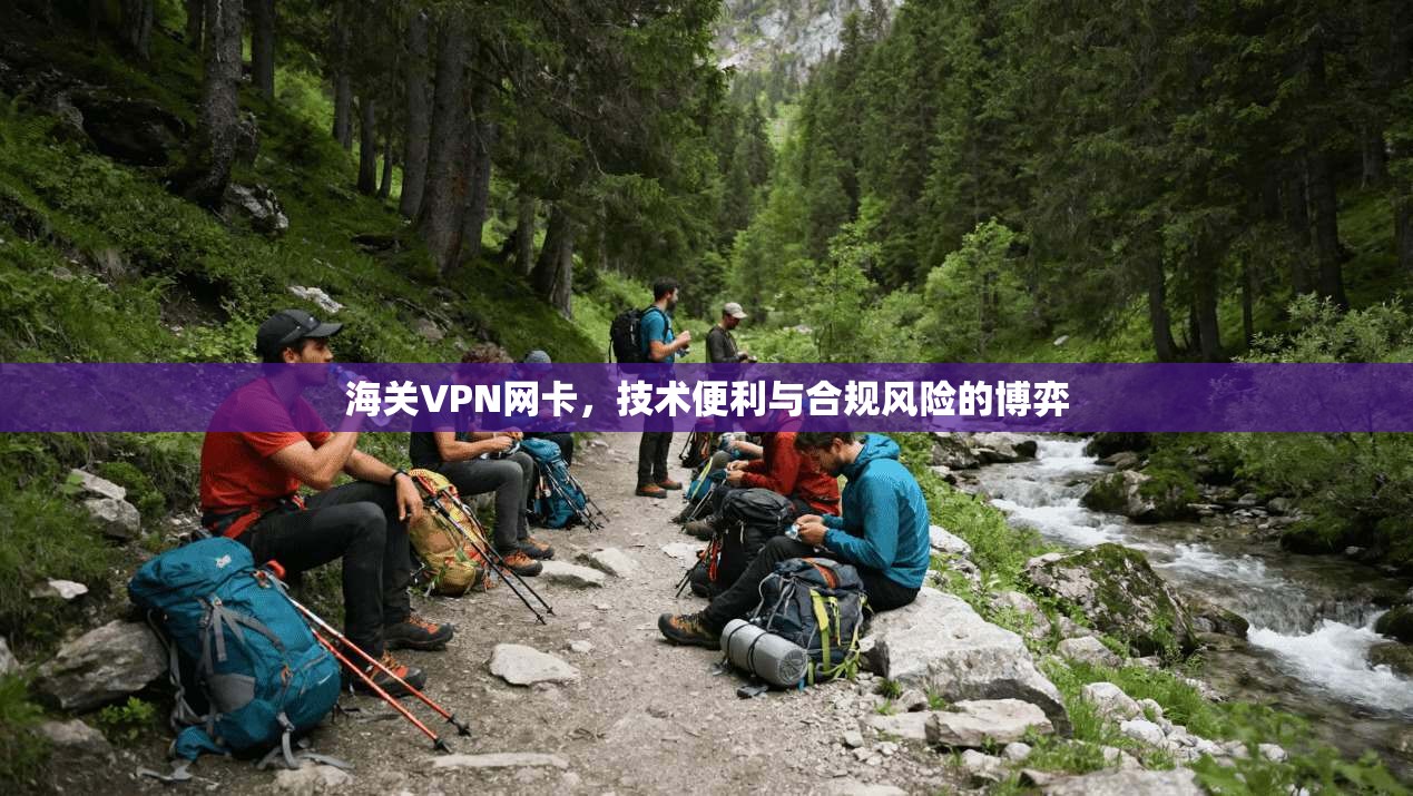 海关VPN网卡,技术便利与合规风险的博弈
