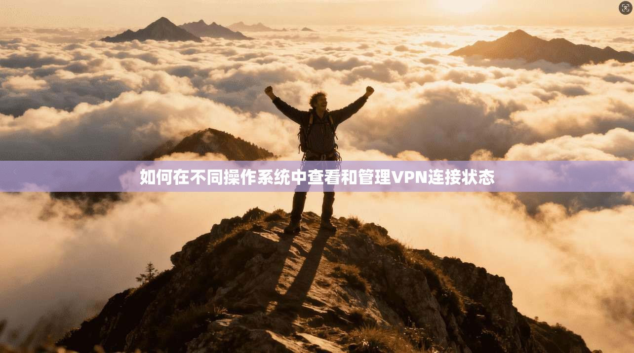 如何在不同操作系统中查看和管理VPN连接状态