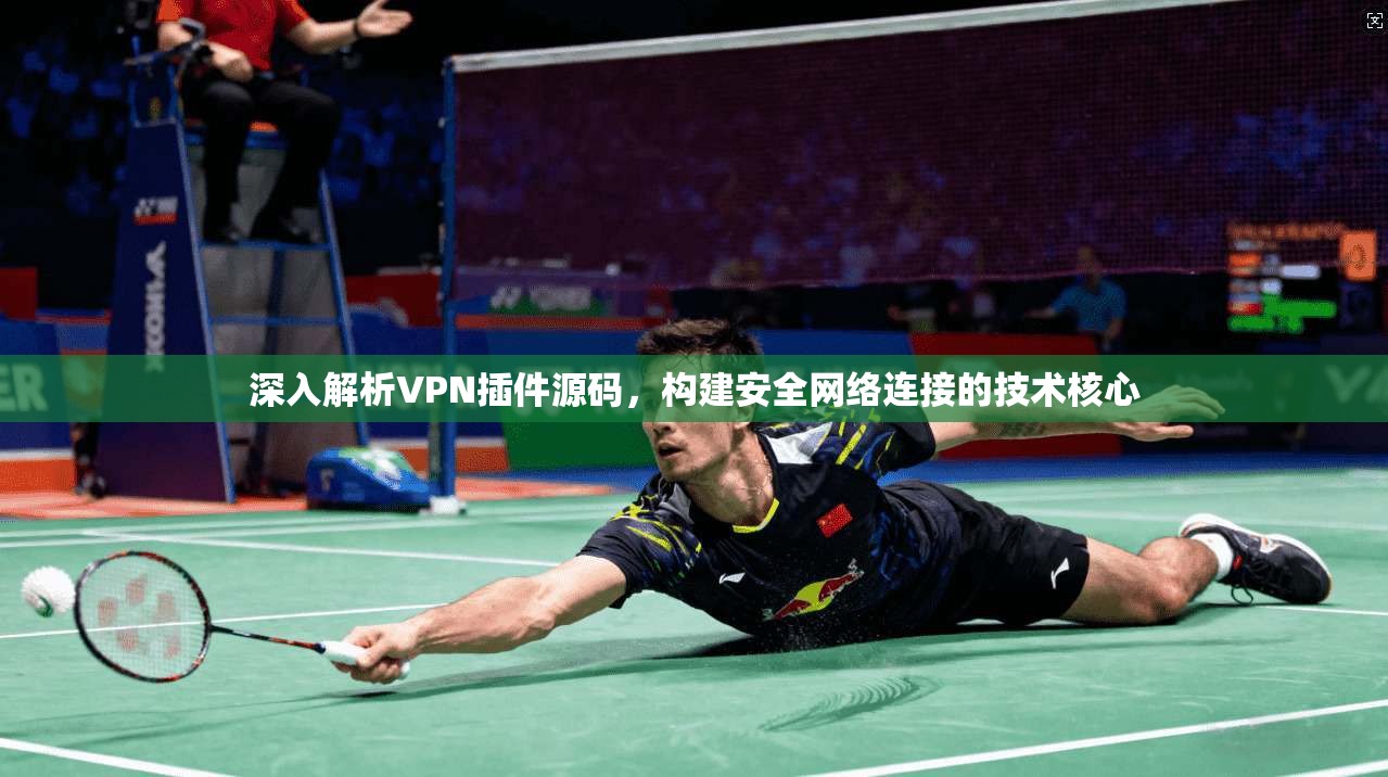 深入解析VPN插件源码,构建安全网络连接的技术核心