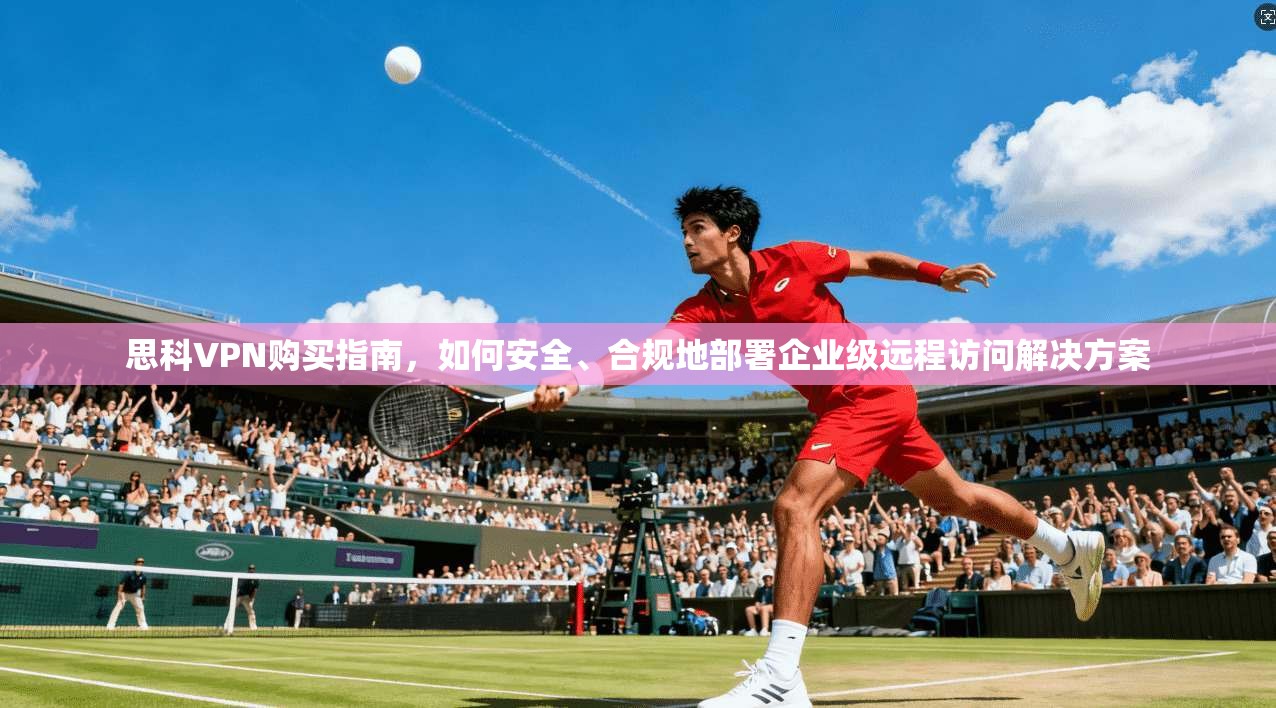 思科VPN购买指南，如何安全、合规地部署企业级远程访问解决方案