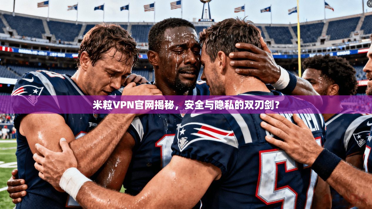 米粒VPN官网揭秘，安全与隐私的双刃剑？