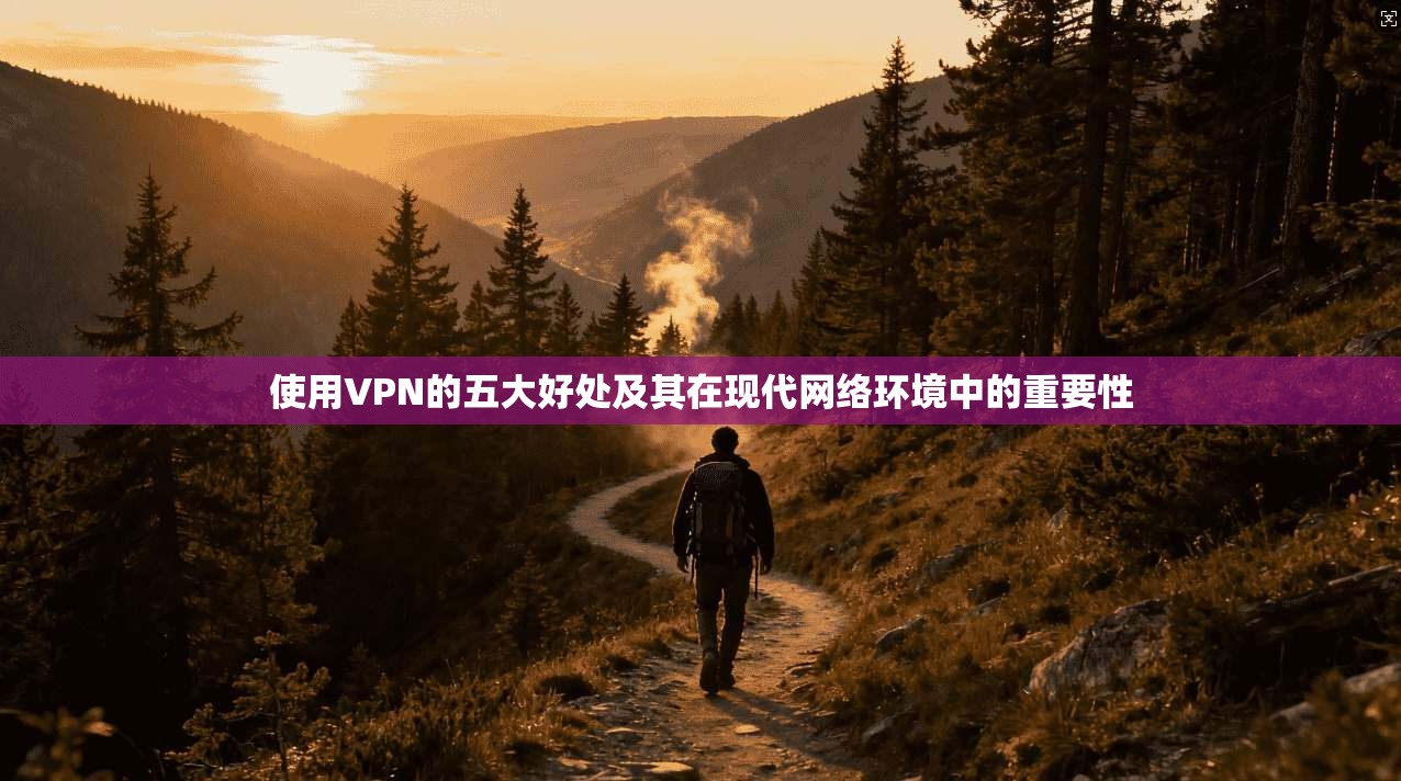 使用VPN的五大好处及其在现代网络环境中的重要性