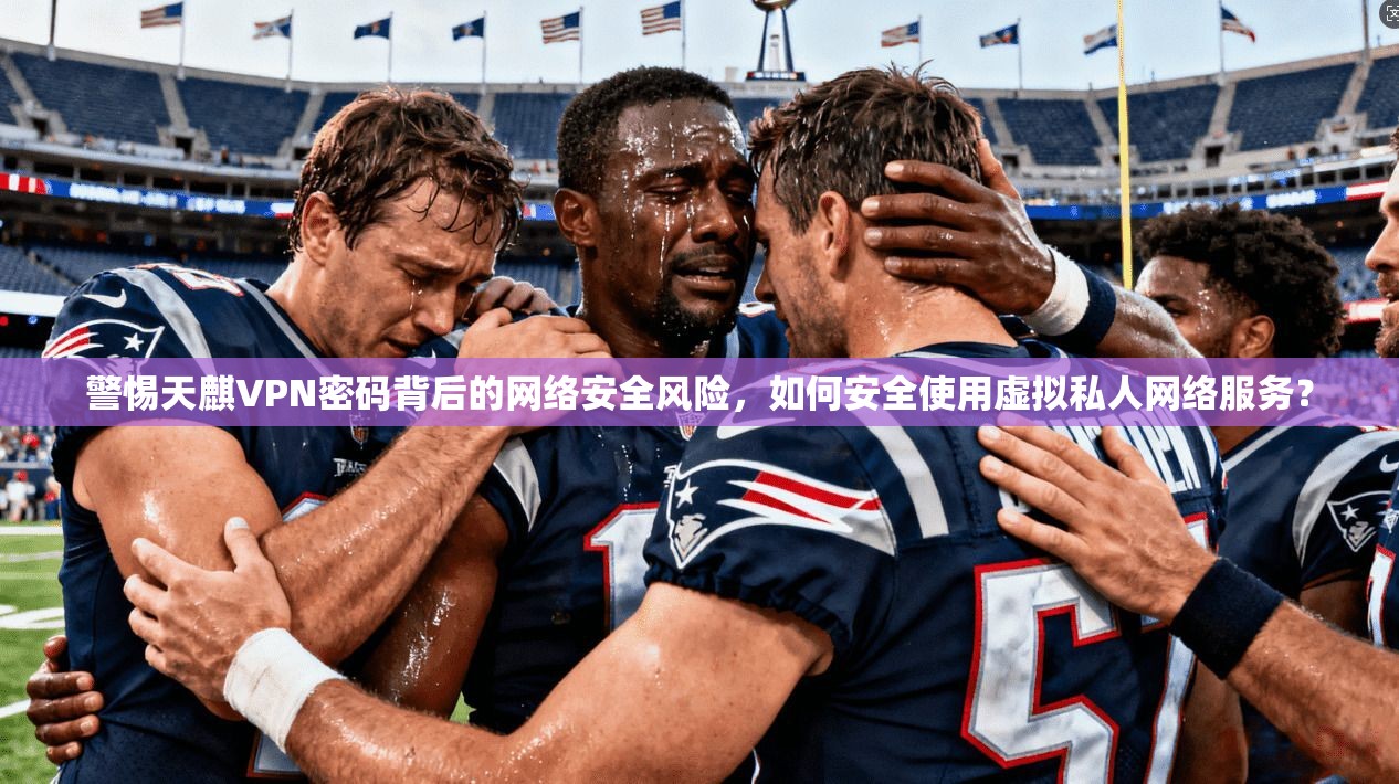 警惕天麒VPN密码背后的网络安全风险，如何安全使用虚拟私人网络服务？