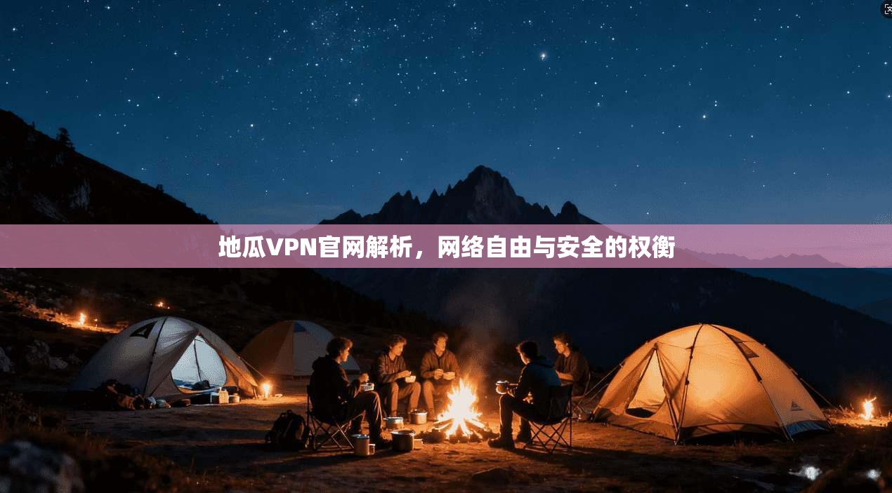 地瓜VPN官网解析，网络自由与安全的权衡