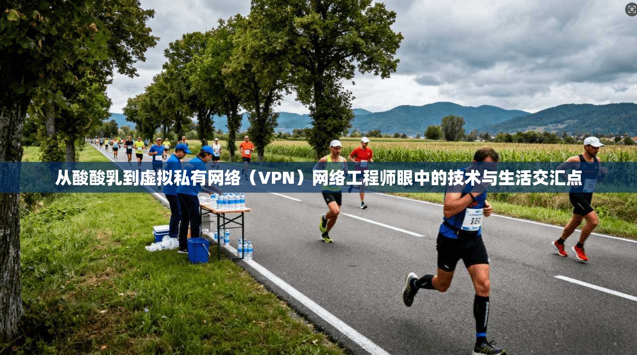 从酸酸乳到虚拟私有网络（VPN）网络工程师眼中的技术与生活交汇点