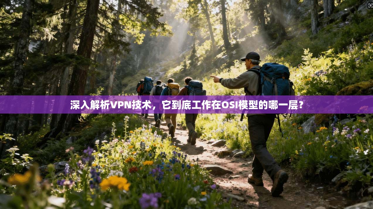 深入解析VPN技术，它到底工作在OSI模型的哪一层？