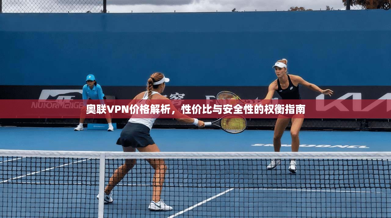 奥联VPN价格解析，性价比与安全性的权衡指南